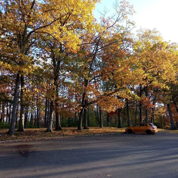 Meet your Posher, Noellie danielle - Picture 1 of 1